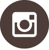 Icona Instagram